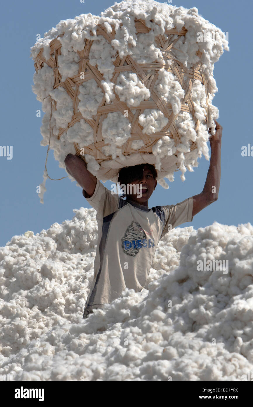 Cotton Shri Dnyaneshwar Ginning Pressing factory Pvt Ltd Kadka
