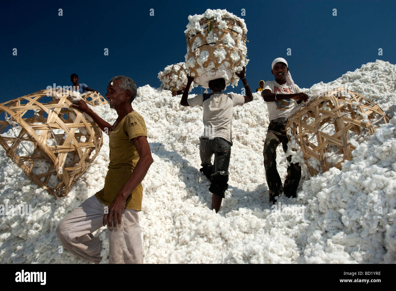 Cotton Shri Dnyaneshwar Ginning Pressing factory Pvt Ltd Kadka