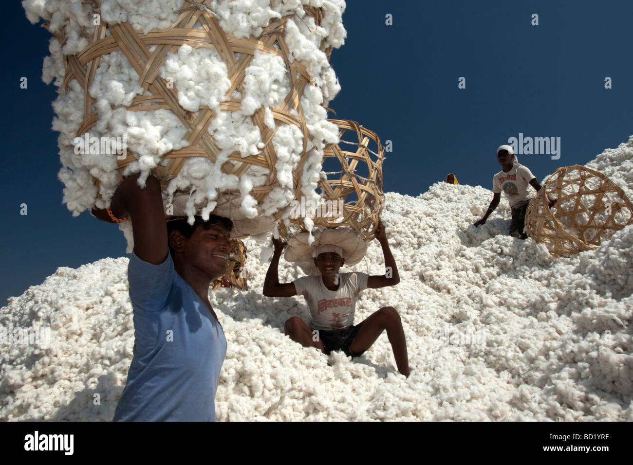 Cotton ginning hires stock photography and images Alamy