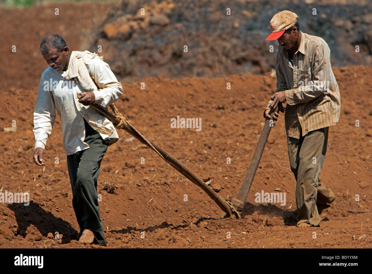 Manual farm work hires stock photography and images Alamy