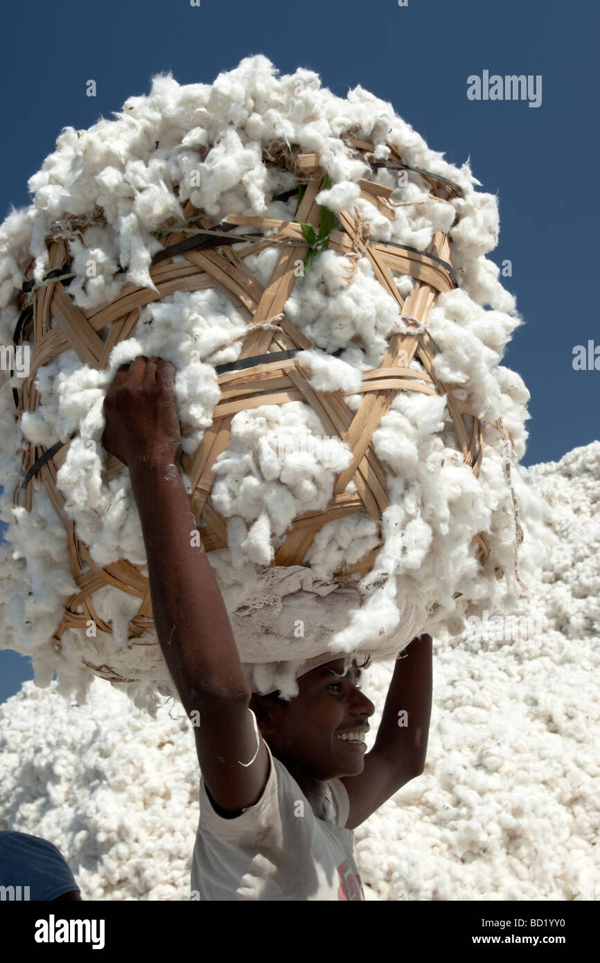 Cotton ginning hires stock photography and images Alamy