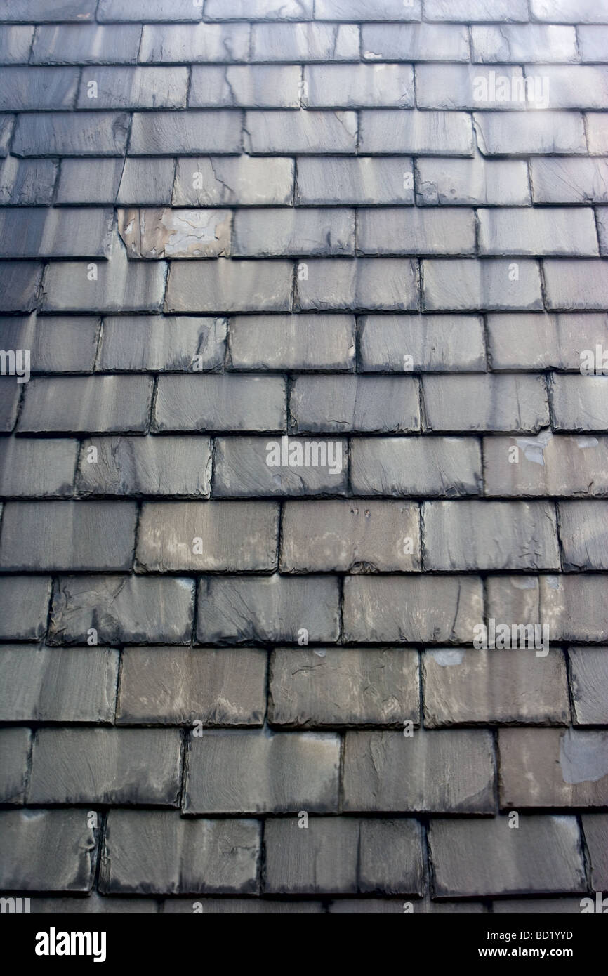 Slate roof tiles. Stock Photo