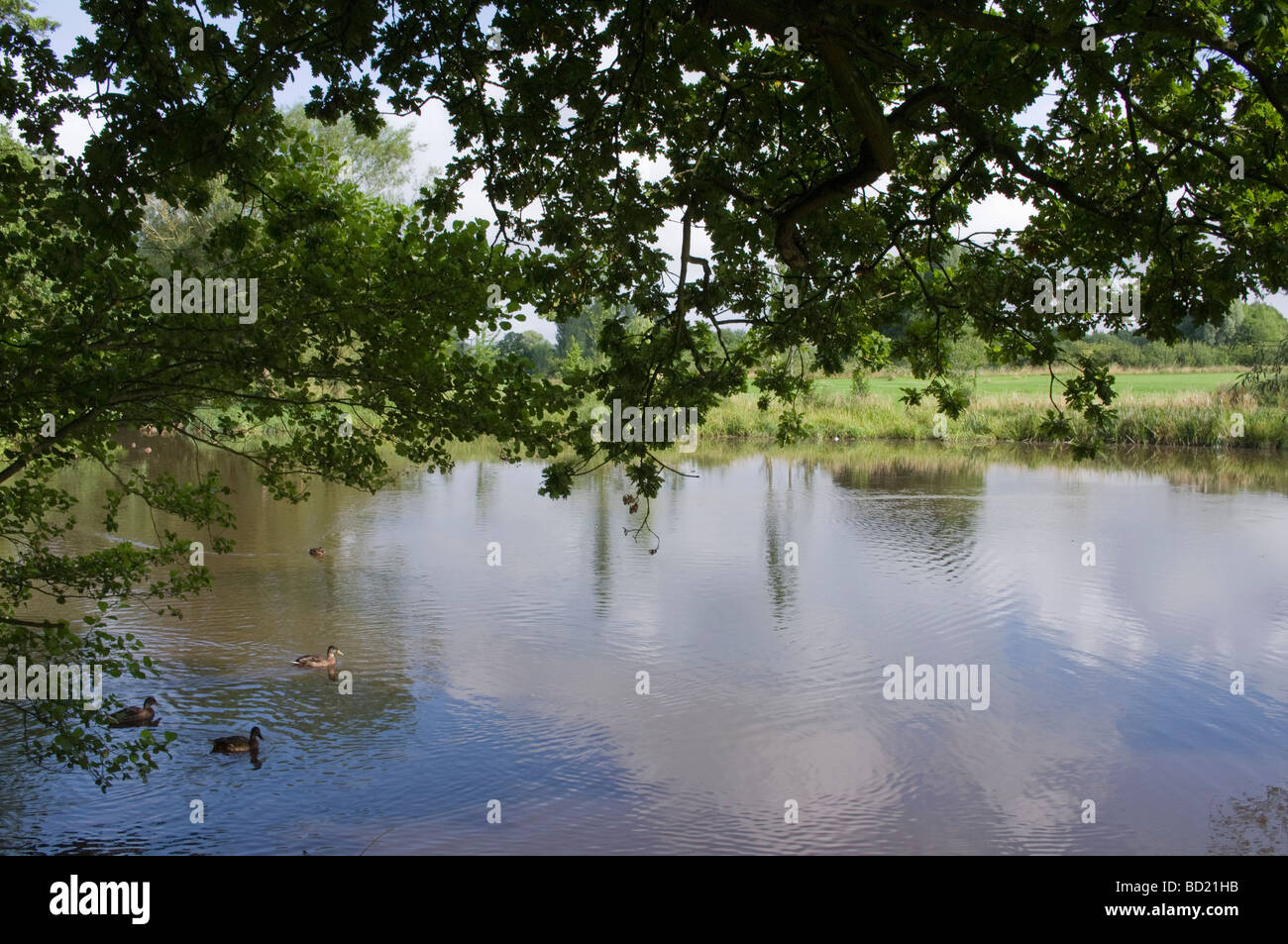 england midlands worcestershire valley of the river arrow redditch