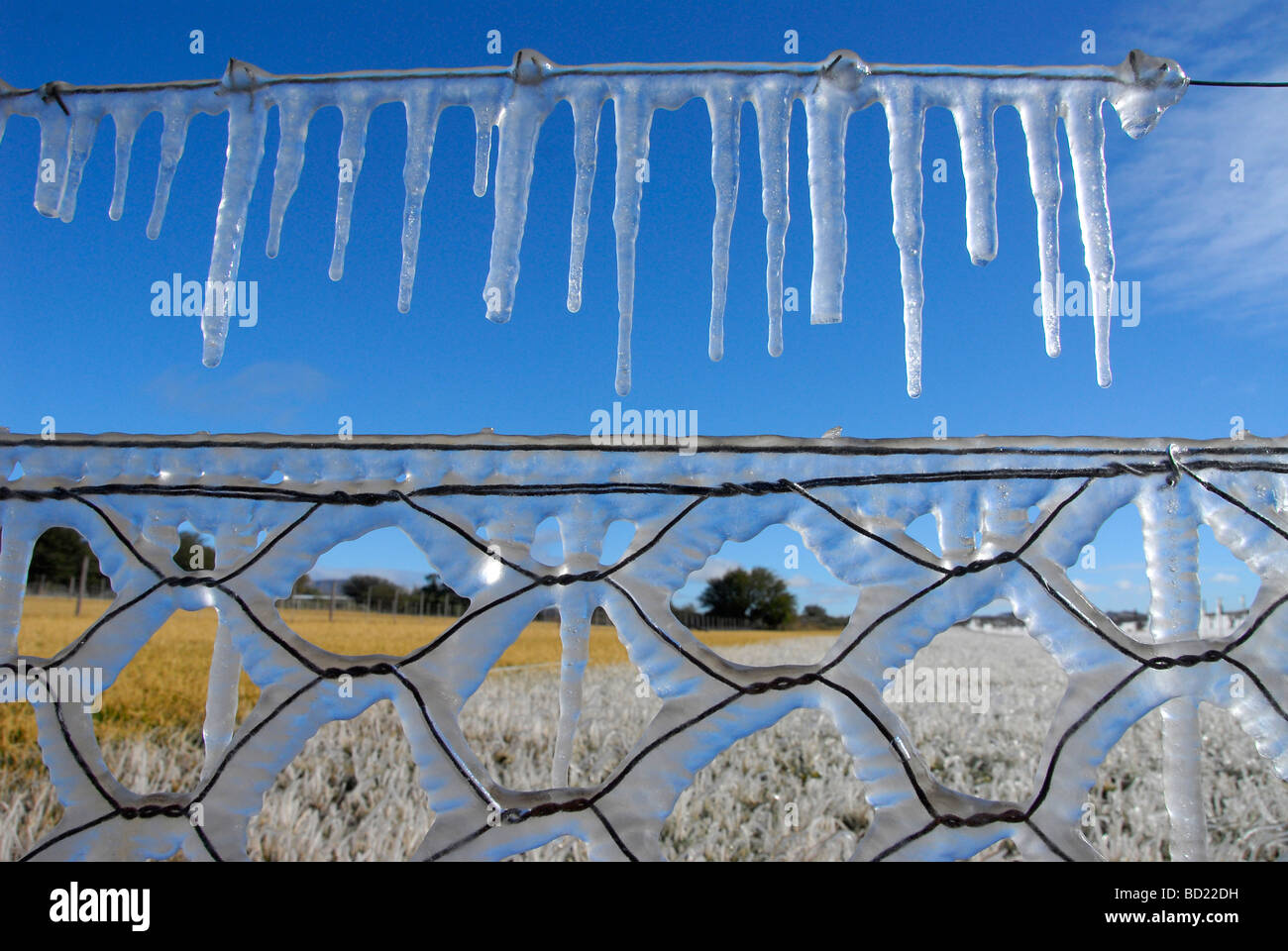 Heavy frost forms icicles on landscape in Free State, South Africa. Winter lasts from April to August in the Southern Hemisphere Stock Photo