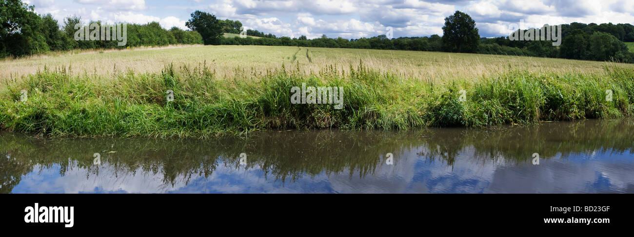 The banks of a river with bushes and trees Stock Photo - Alamy
