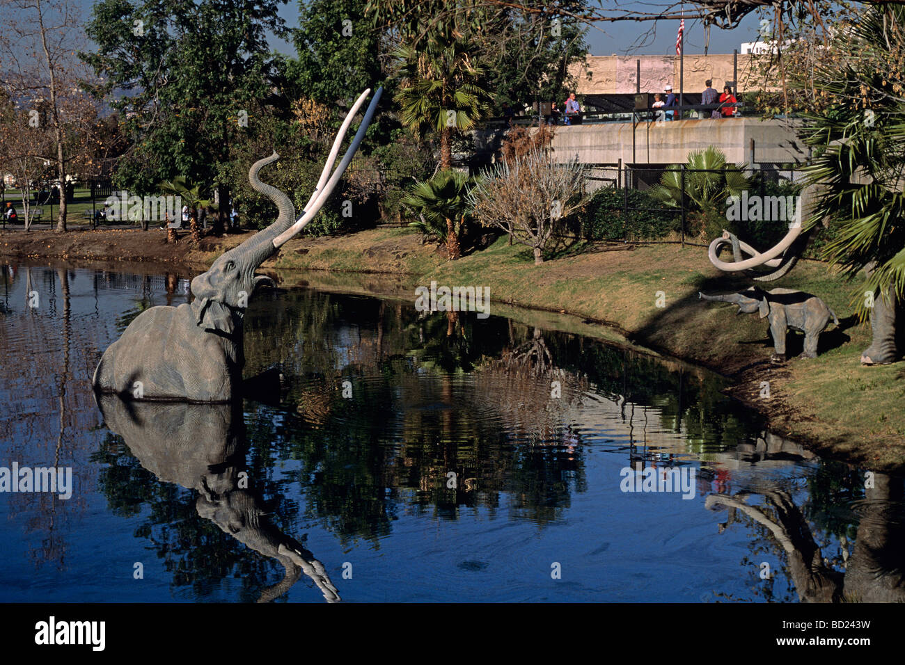 La brea tar pit fossil hi-res stock photography and images - Alamy