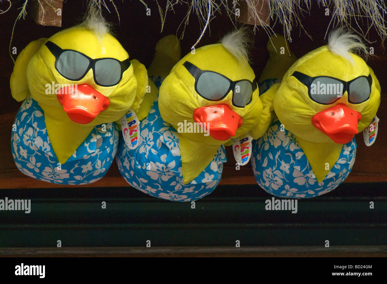 Three inflatable ducks. Stock Photo