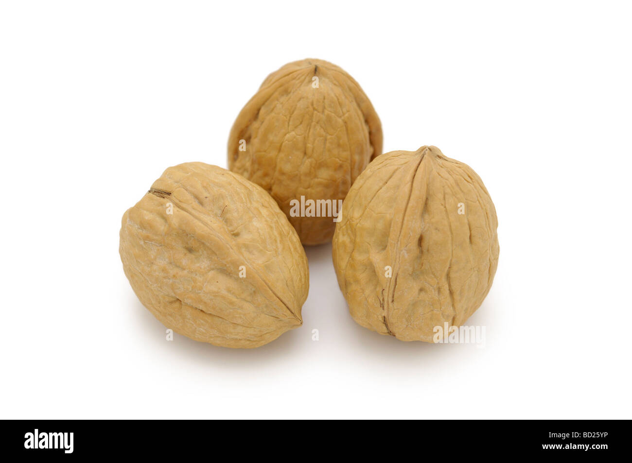 Walnuts Whole in Shell Stock Photo