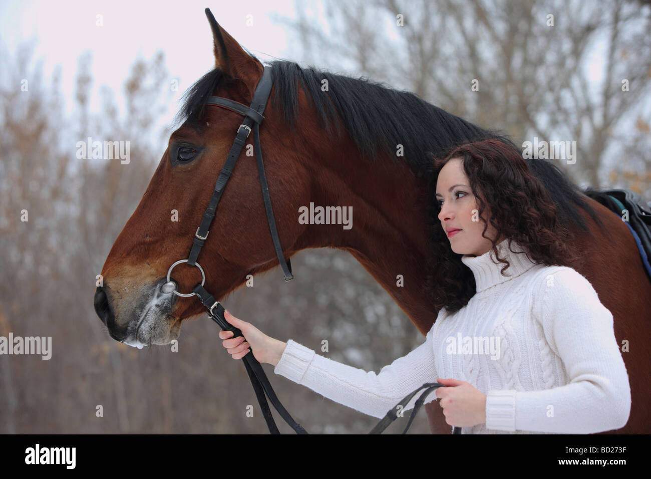 Ekaterina Druz Horse Photography
