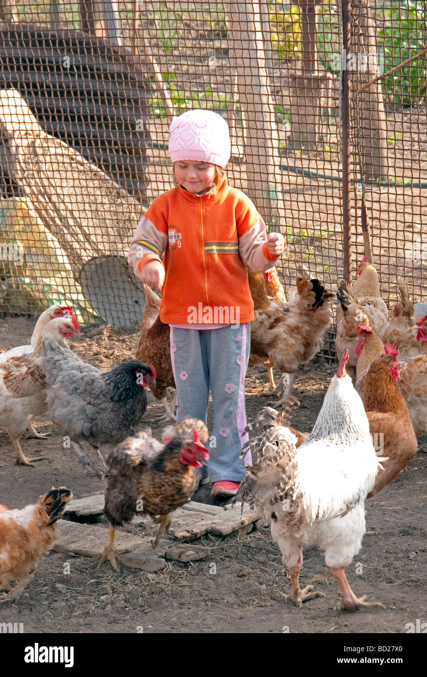 Romanian girl feeding chickens on farm in Danube Delta near Tulcea Stock Photo