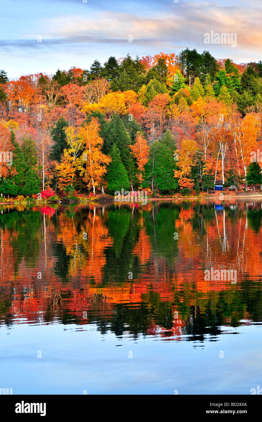 Forest of colorful autumn trees reflecting in calm lake Stock Photo - Alamy