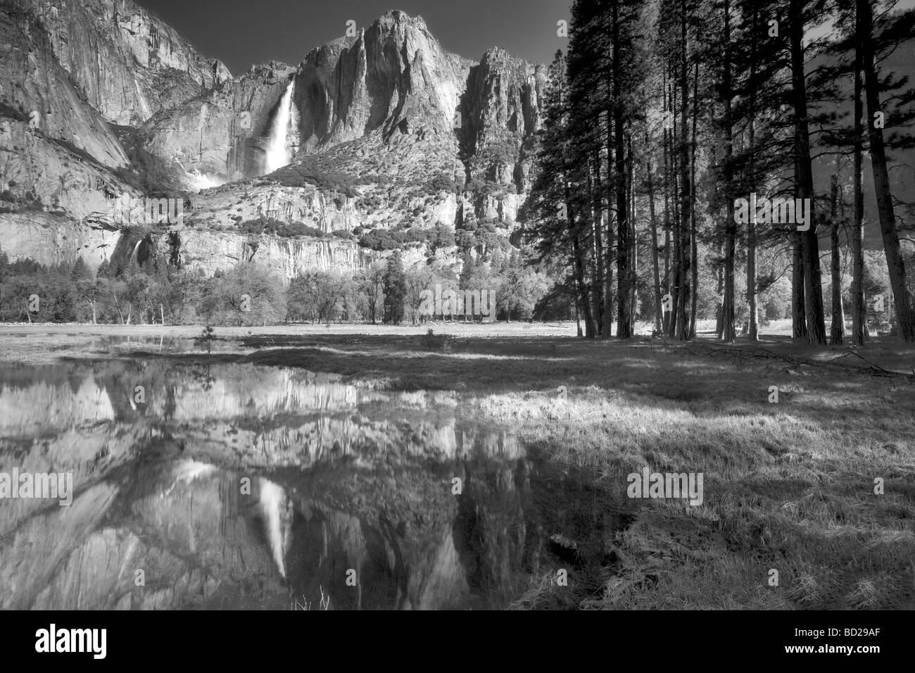 Yosemite Falls reflected in pool of water Yosemite National Park California Stock Photo