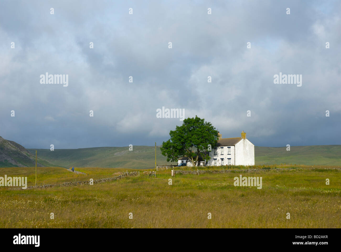 Man walking past traditional farmhouse, Upper Teesdale, County Durham, England UK Stock Photo