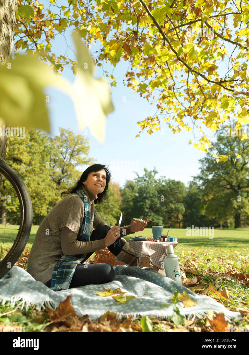 Picnic under trees hires stock photography and images Alamy