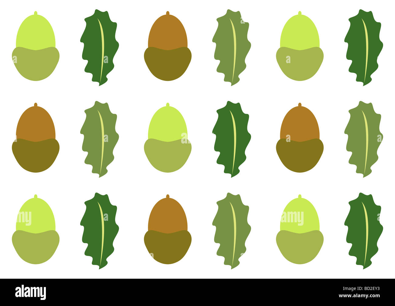 Acorn nut and leaves in rows Stock Photo