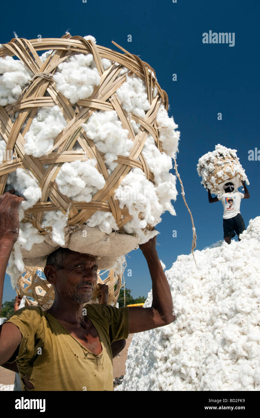 Cotton Shri Dnyaneshwar Ginning Pressing factory Pvt Ltd Kadka