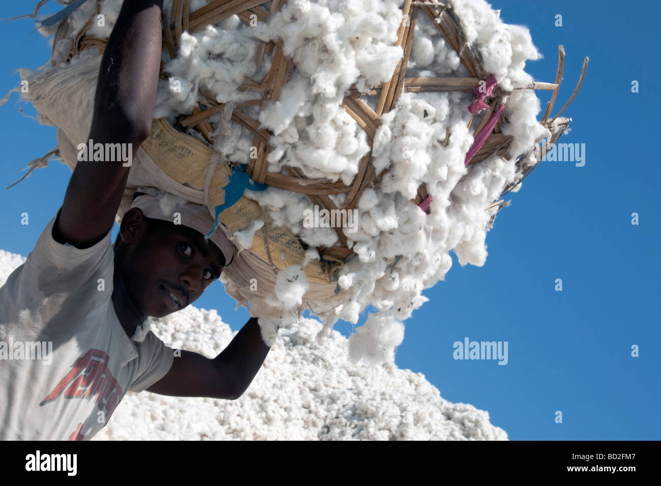 Cotton Shri Dnyaneshwar Ginning Pressing factory Pvt Ltd Kadka