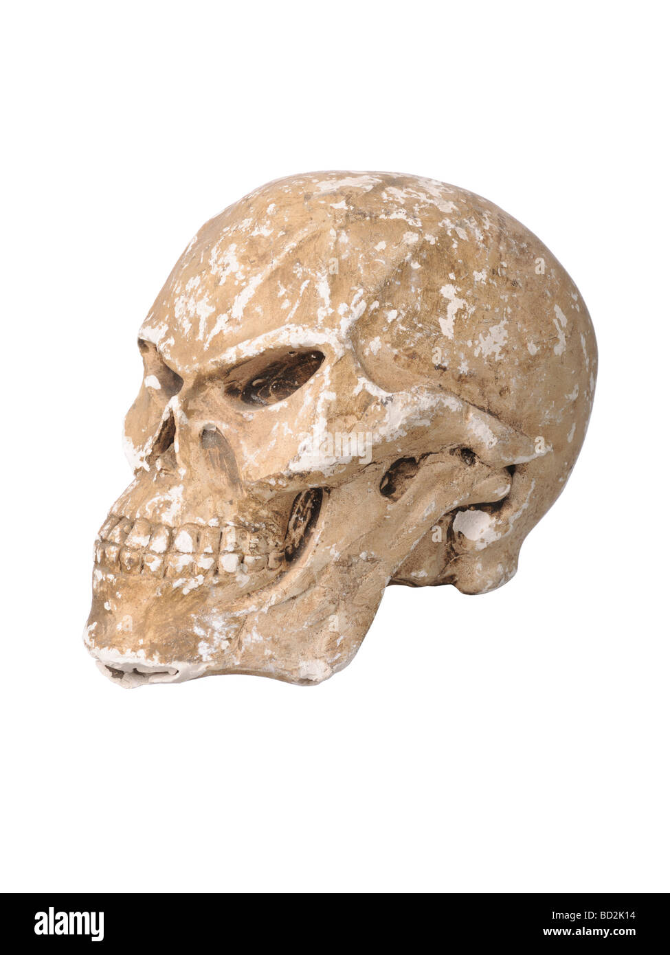 Alien skull science fiction Stock Photo