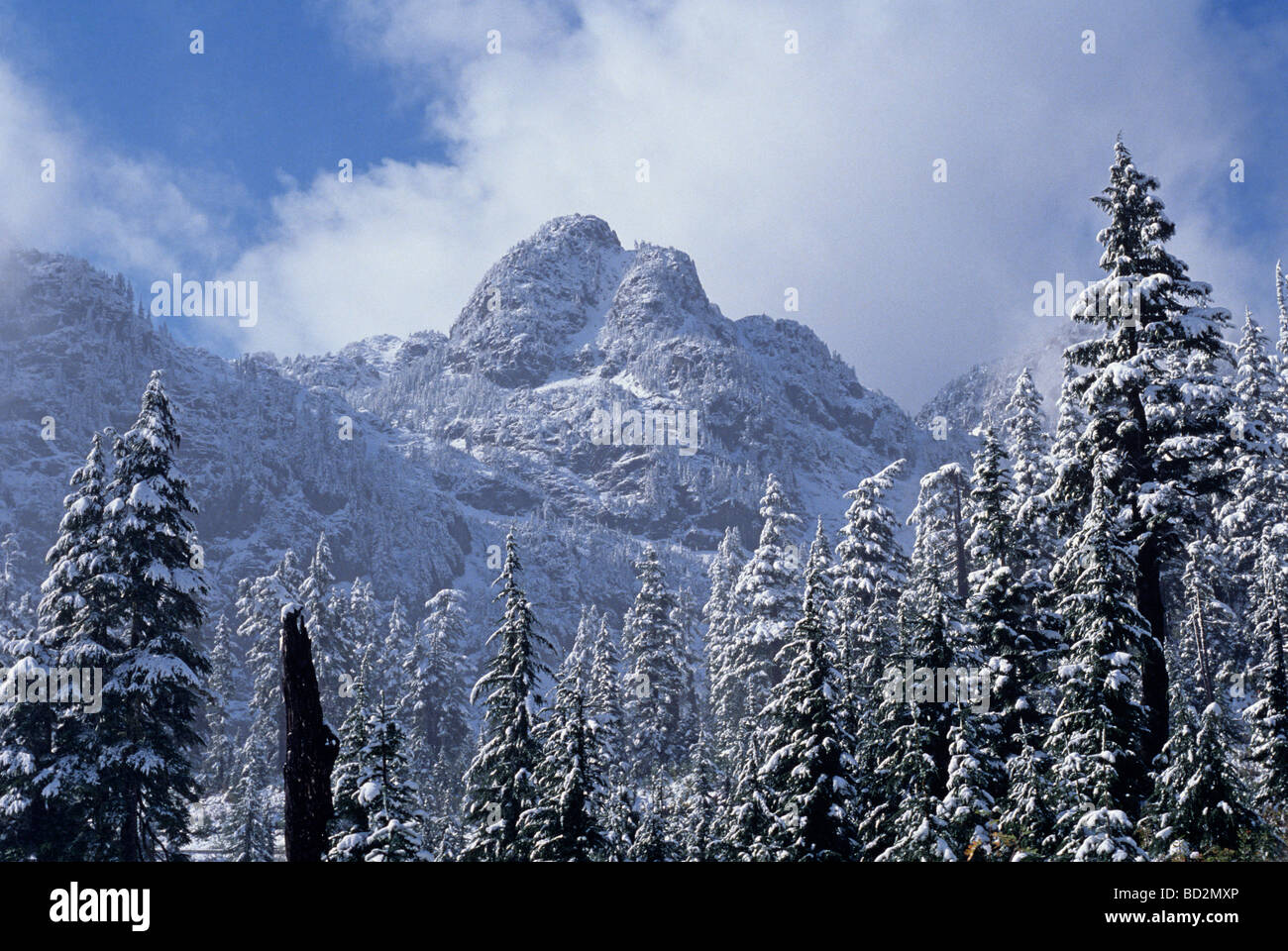 Cascade mountain range hi-res stock photography and images - Alamy