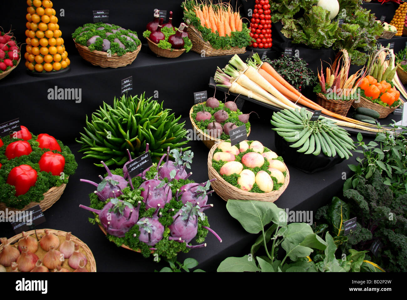Assorted vegetables on display at RHS Tatton Park show Stock Photo