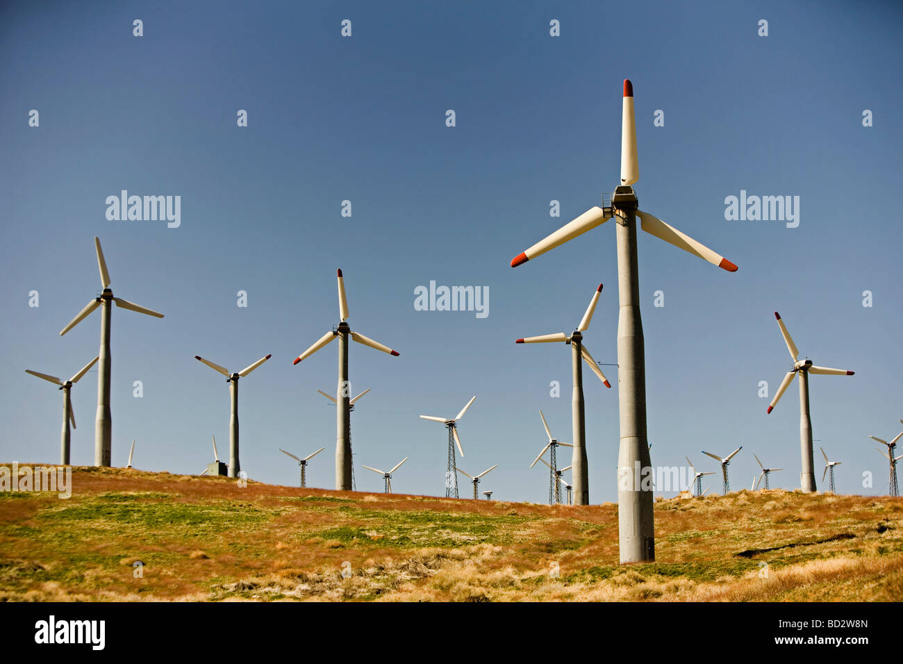 Wind turbines generating electricity Stock Photo