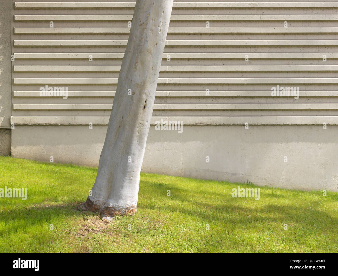 Concrete front hi-res stock photography and images - Alamy