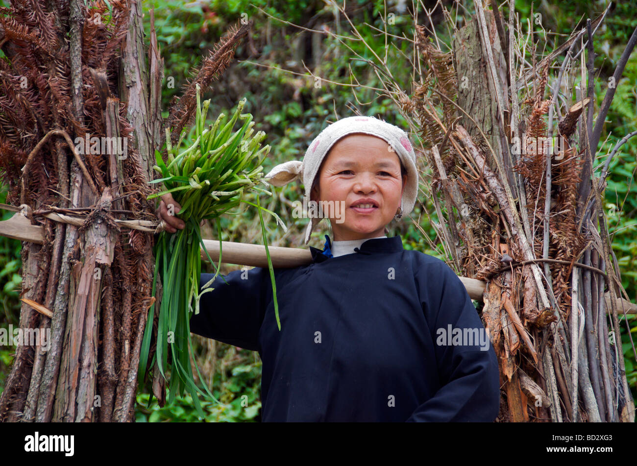Dong woman carrying firewood on pole Guizhou Province China Stock Photo
