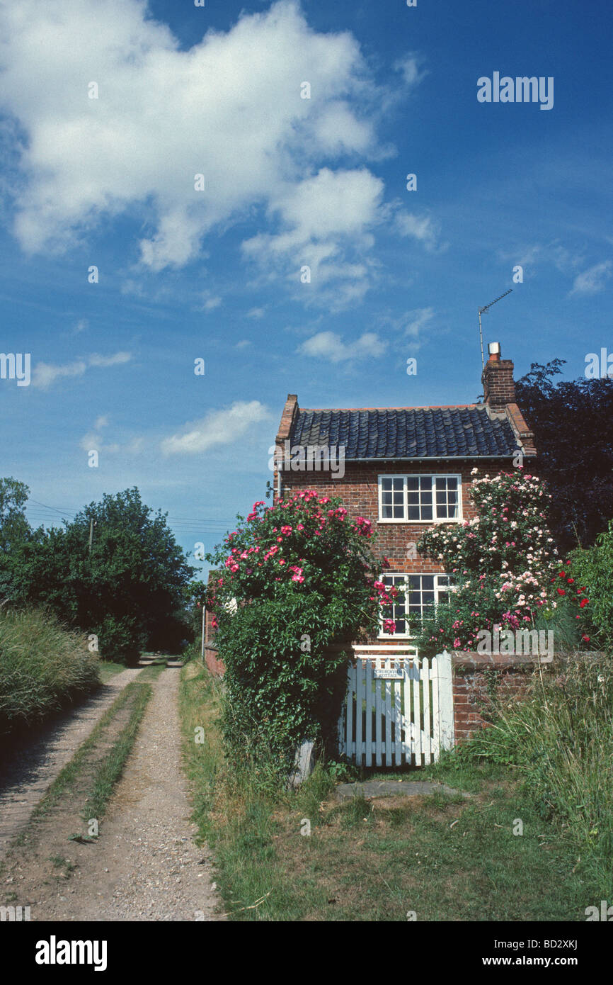 Typical Norfolk cottage at Wood Norton Stock Photo Alamy