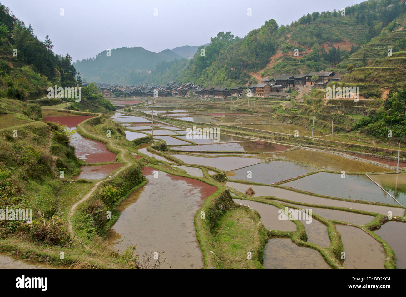 Rice terraces and Zhaoxing Dong Village Guizhou Province China Stock Photo