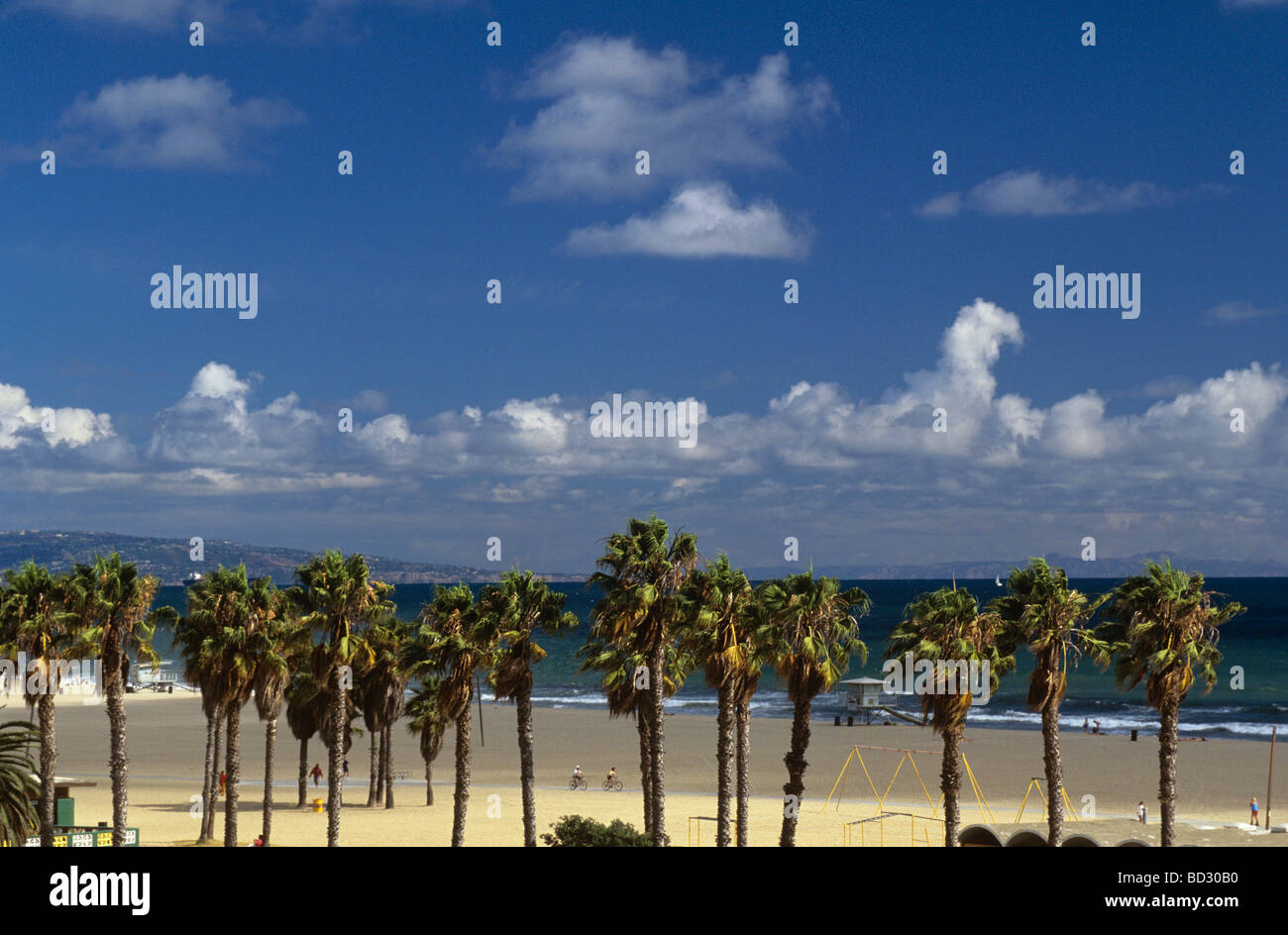 Palm Trees and bike path at beach Stock Photo - Alamy