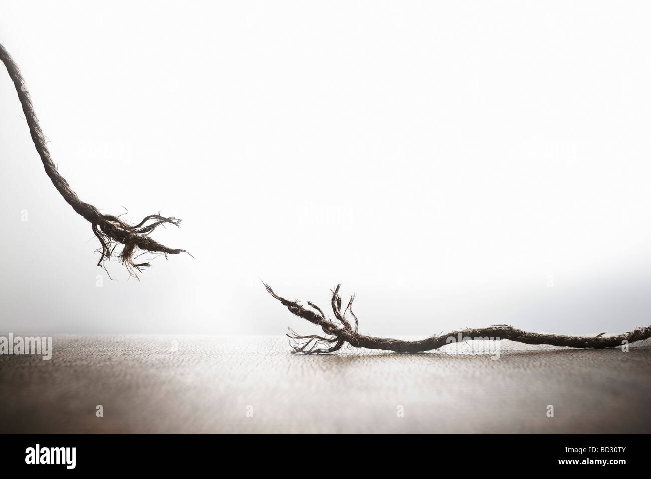 Snapping Rope High Resolution Stock Photography and Images - Alamy