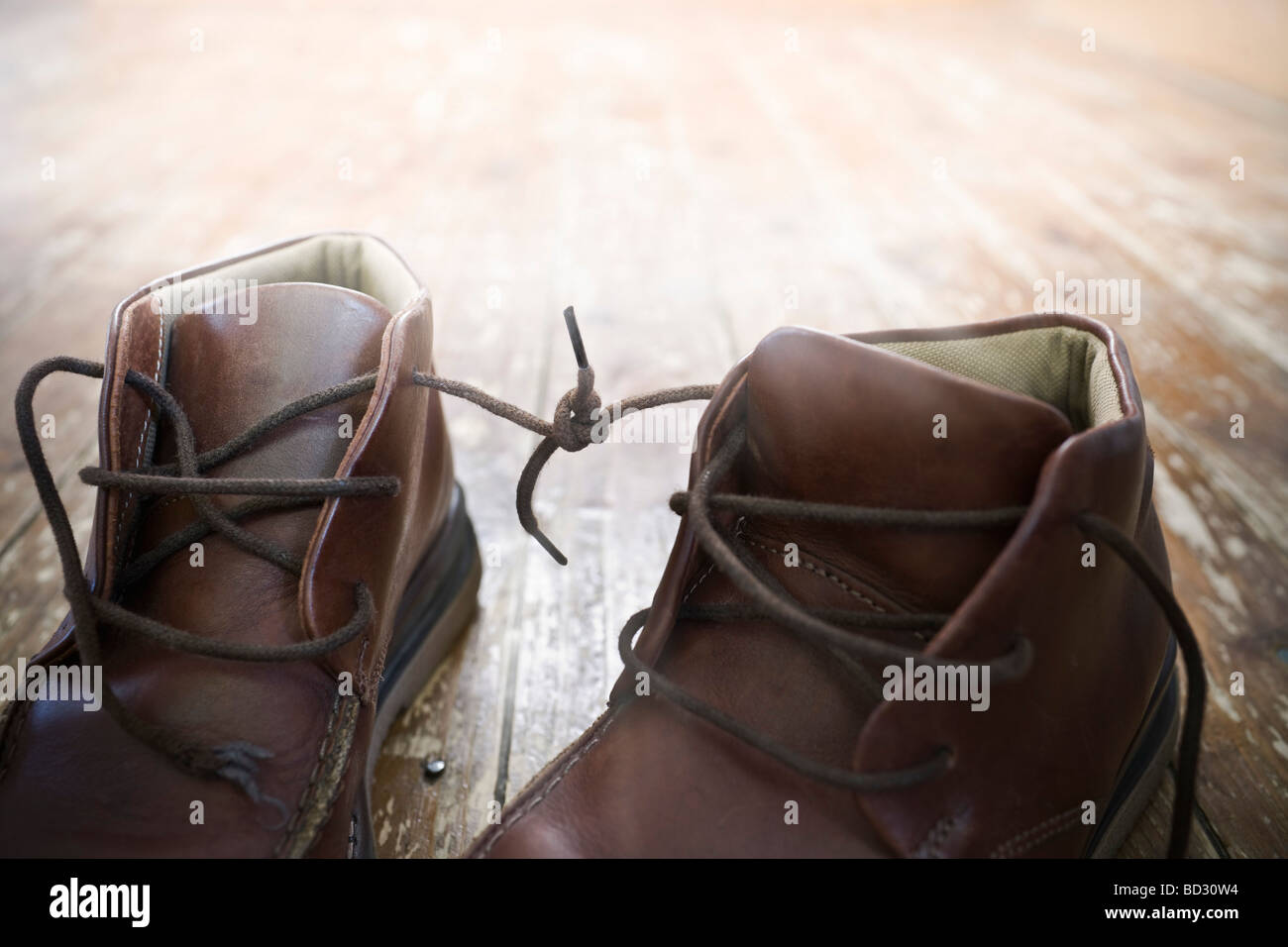 Boot laces tied together Stock Photo Alamy
