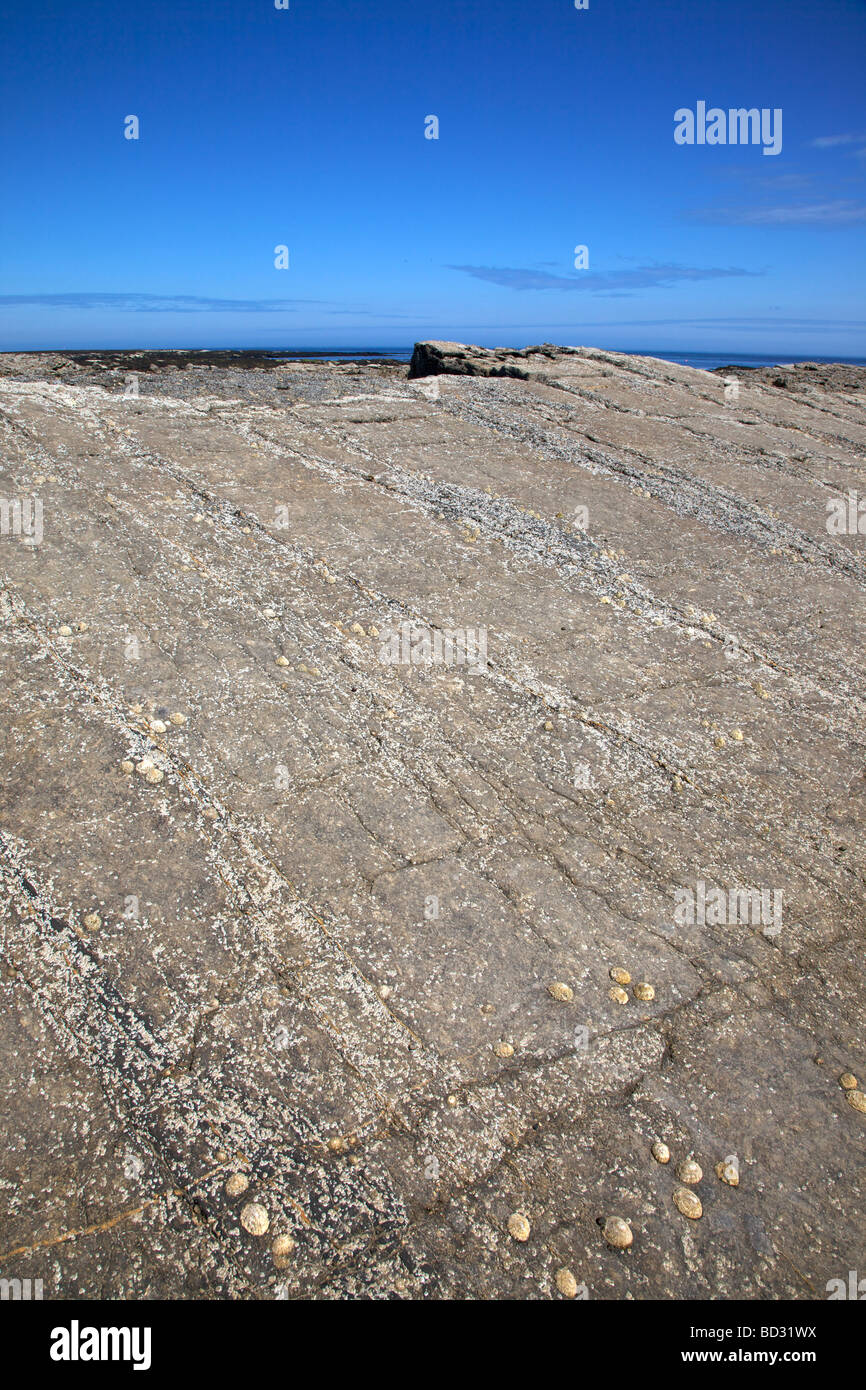 Slanted Rock formation at Beadnell Bay,Northumberland,Northeast England, UK Stock Photo