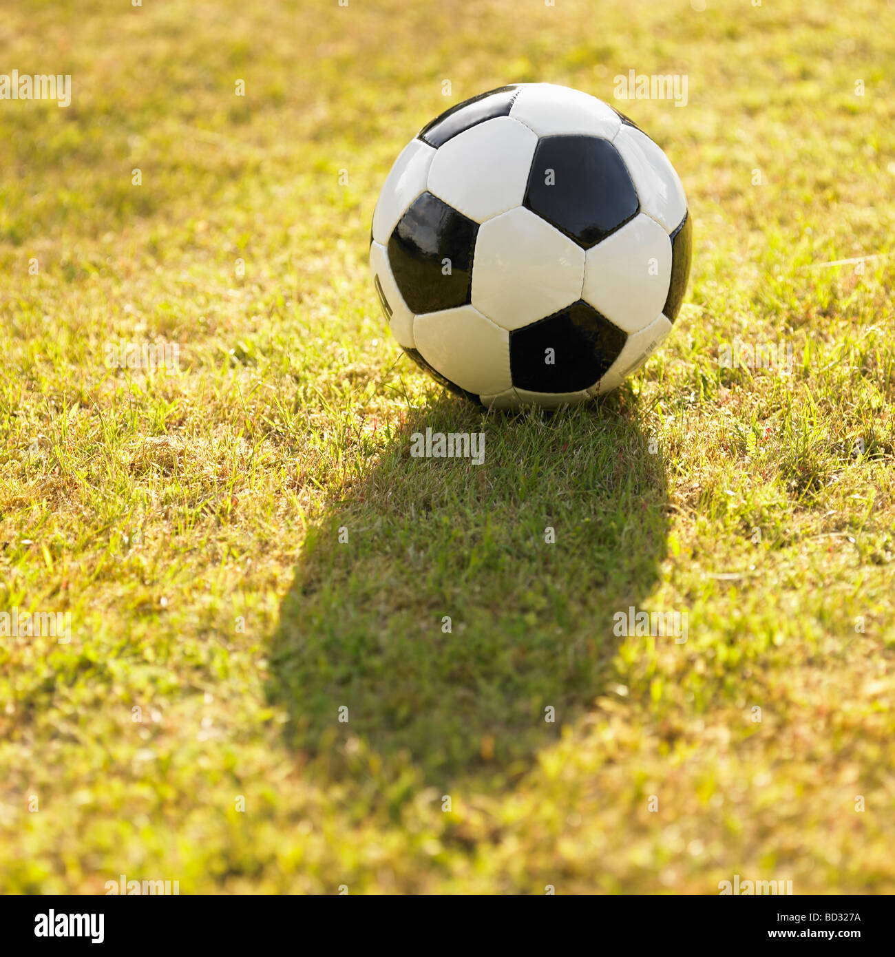 Black and white generic leather football / soccer ball on grass, back lit in the sun. Stock Photo
