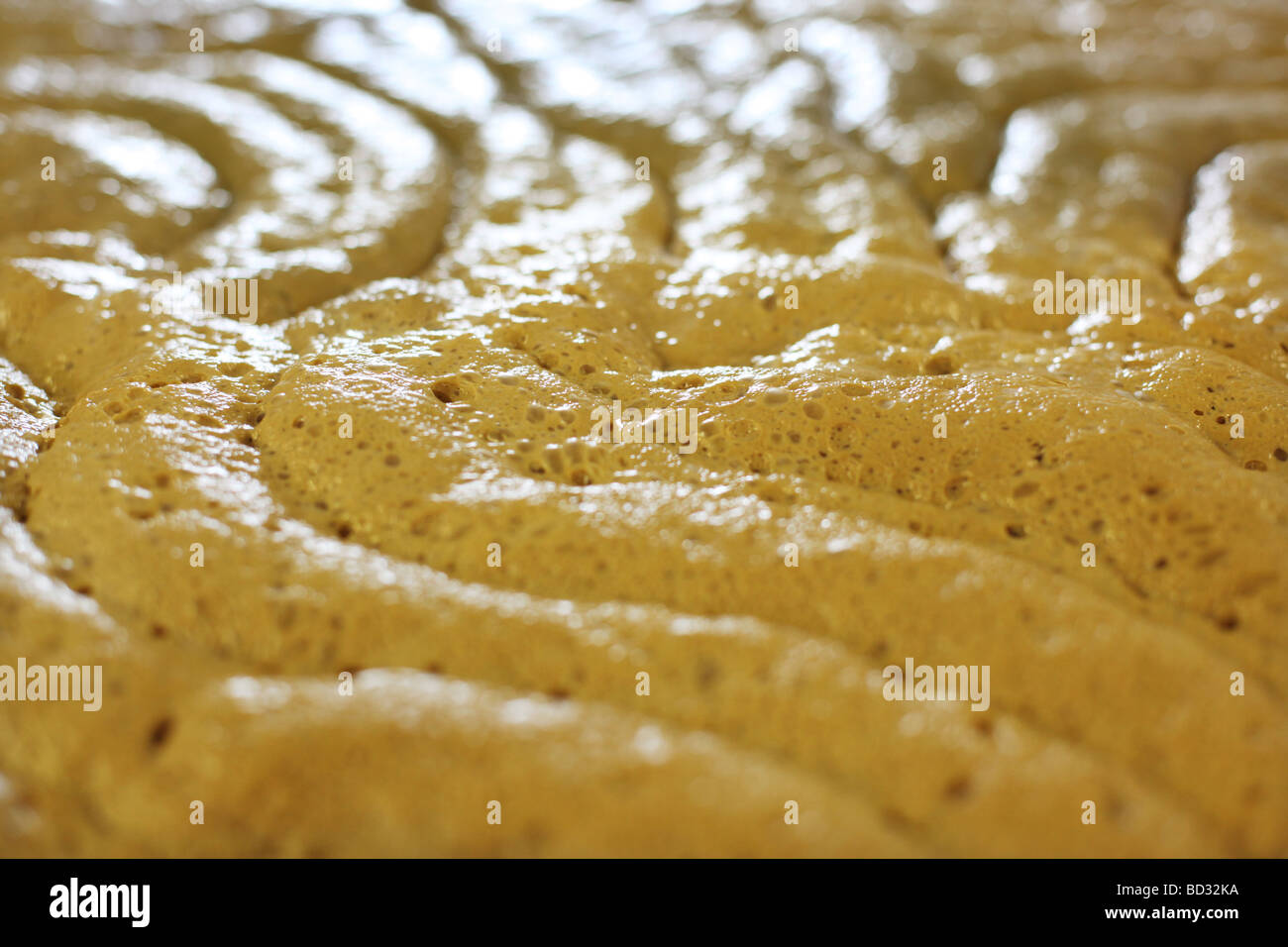The yeast brewing on a vat of beer Stock Photo