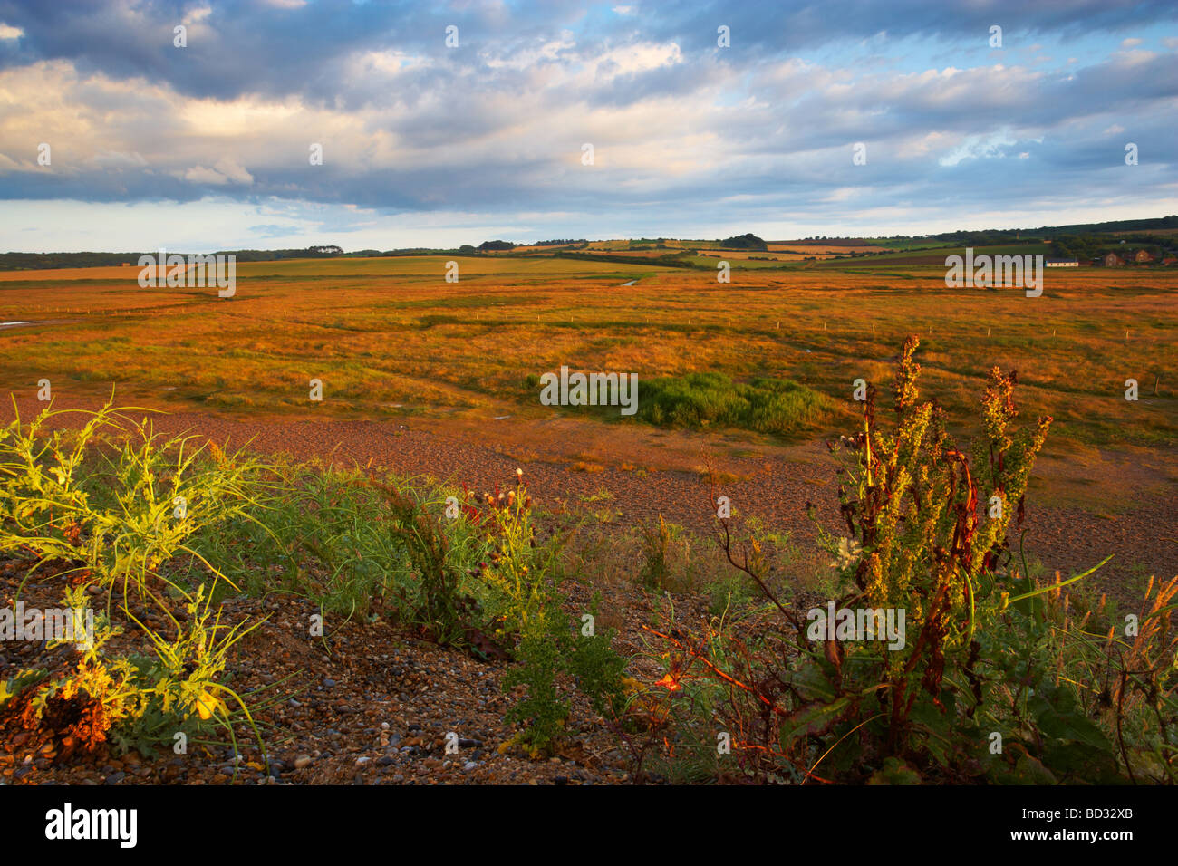 A view over the Saltmarshes and surrounding countryside from the Shingle Beach at Salthouse on the North Norfolk Coast Stock Photo