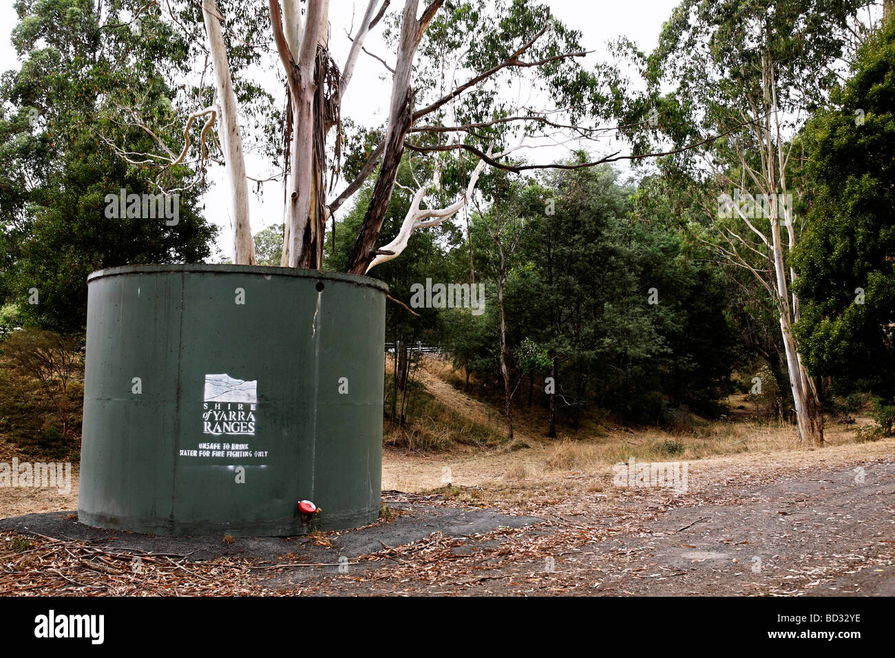 https://c8.alamy.com/comp/BD32YE/australian-country-fire-water-storage-tank-and-eucalyptus-gum-trees-BD32YE.jpg