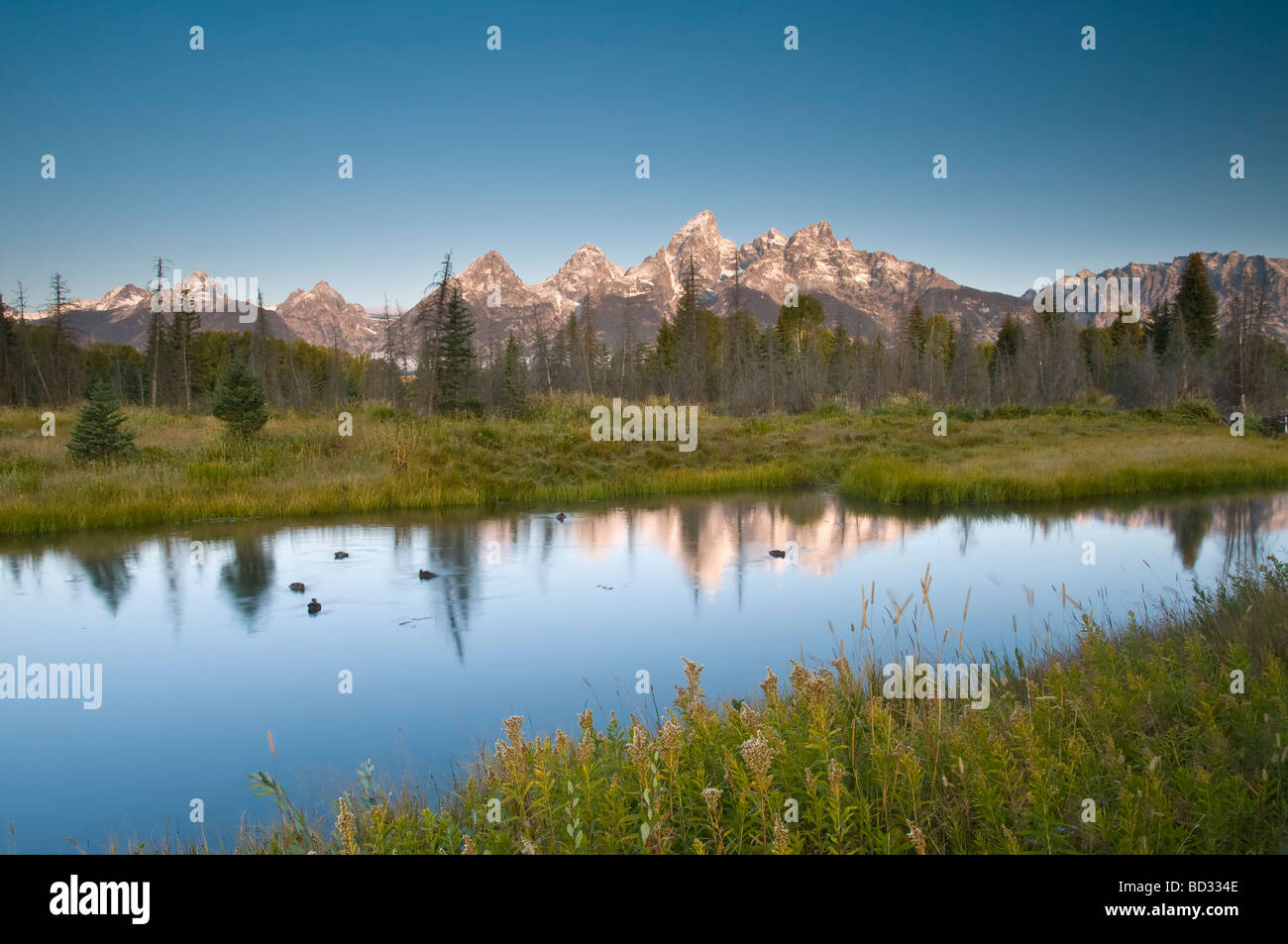 Teton Mountain Range from Schwabacher Landing Grand Teton National Park ...