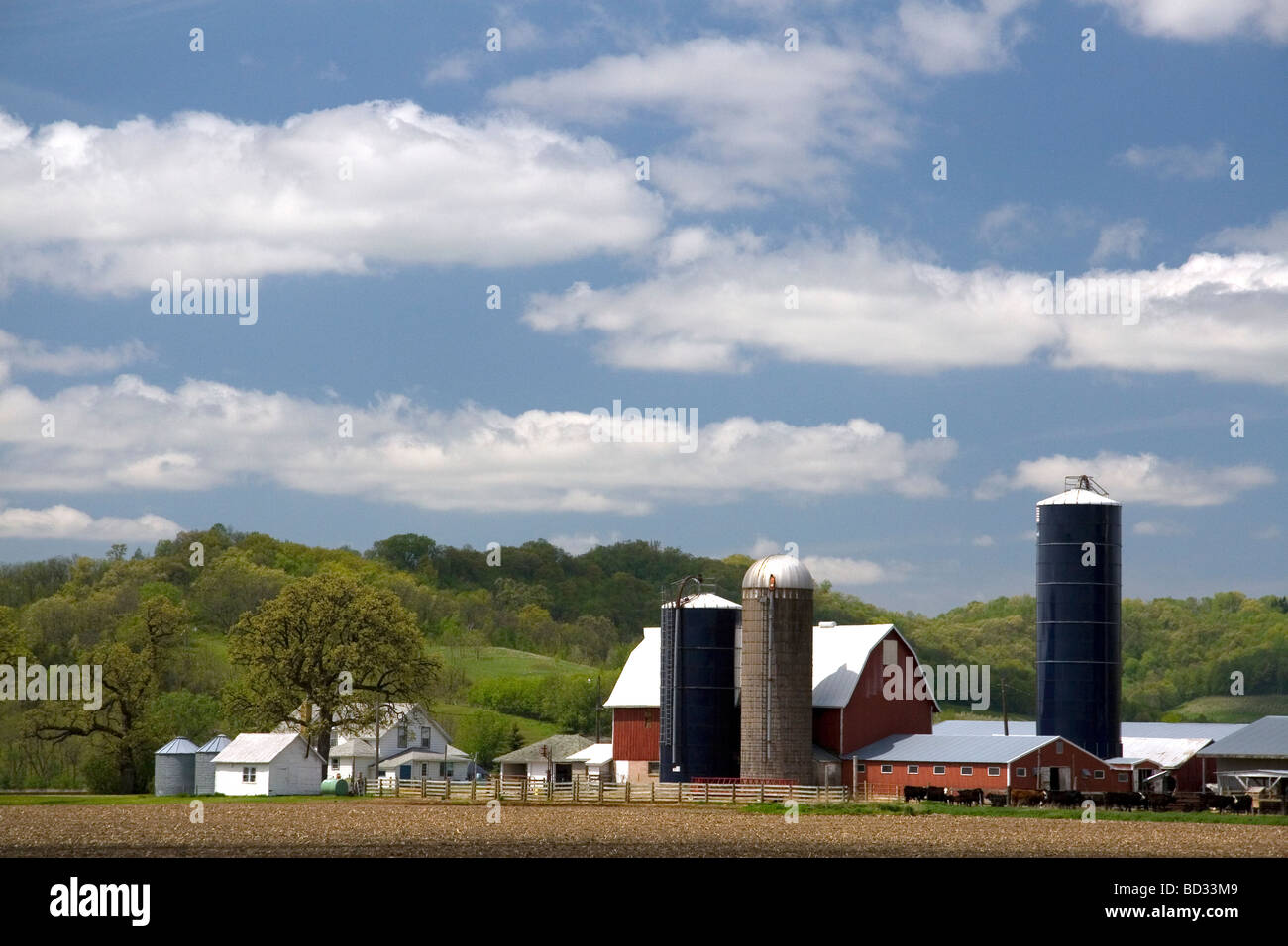 Red barn and grain silos on a farm in Manitowoc County Wisconsin USA  Stock Photo