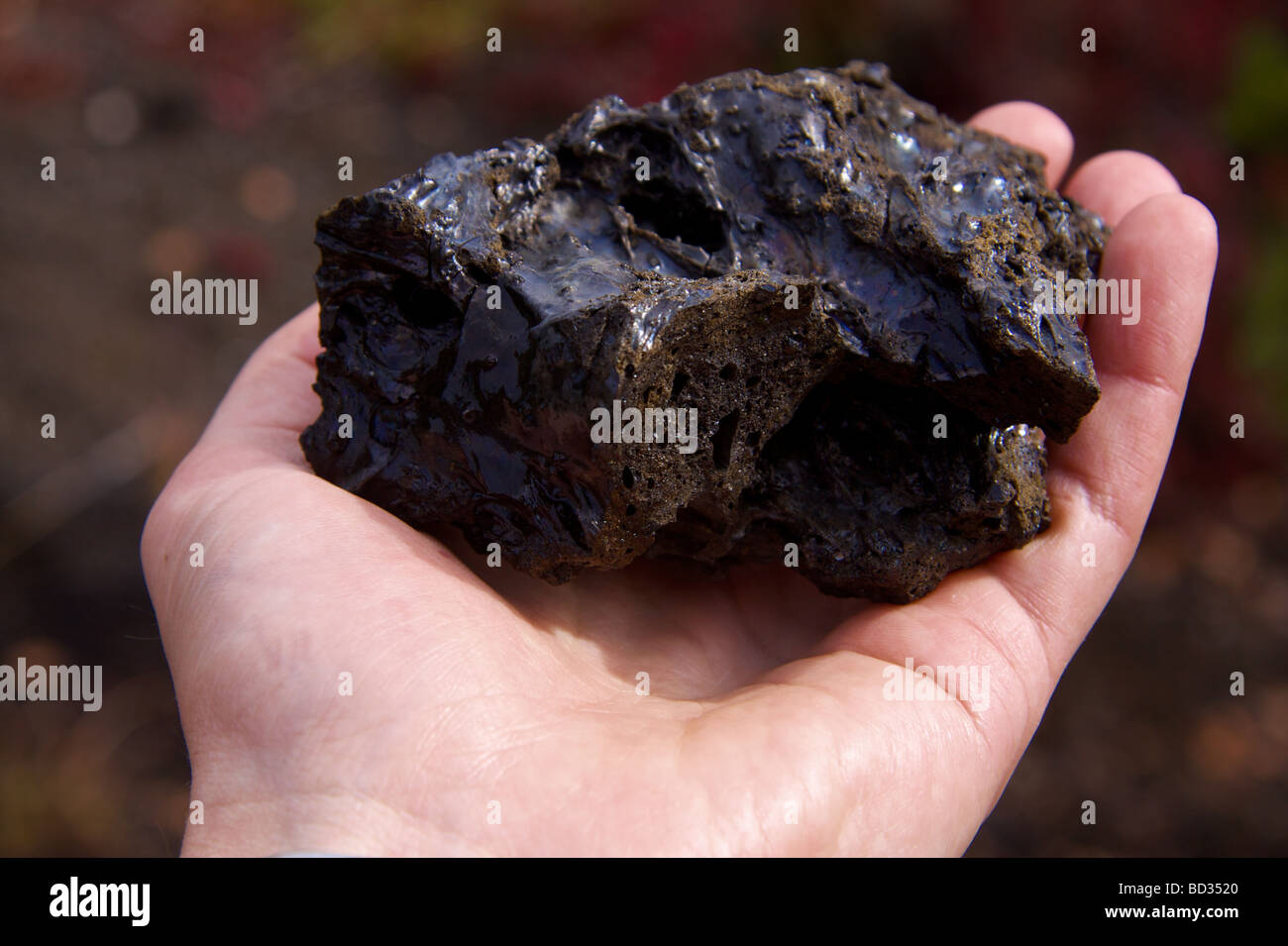 Lava rock held in hand Stock Photo Alamy