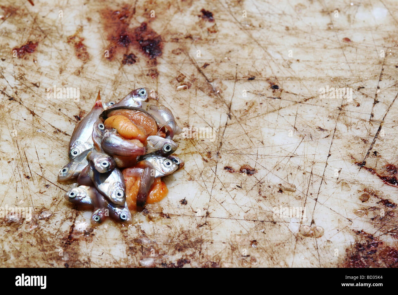 Fish bait hires stock photography and images Alamy