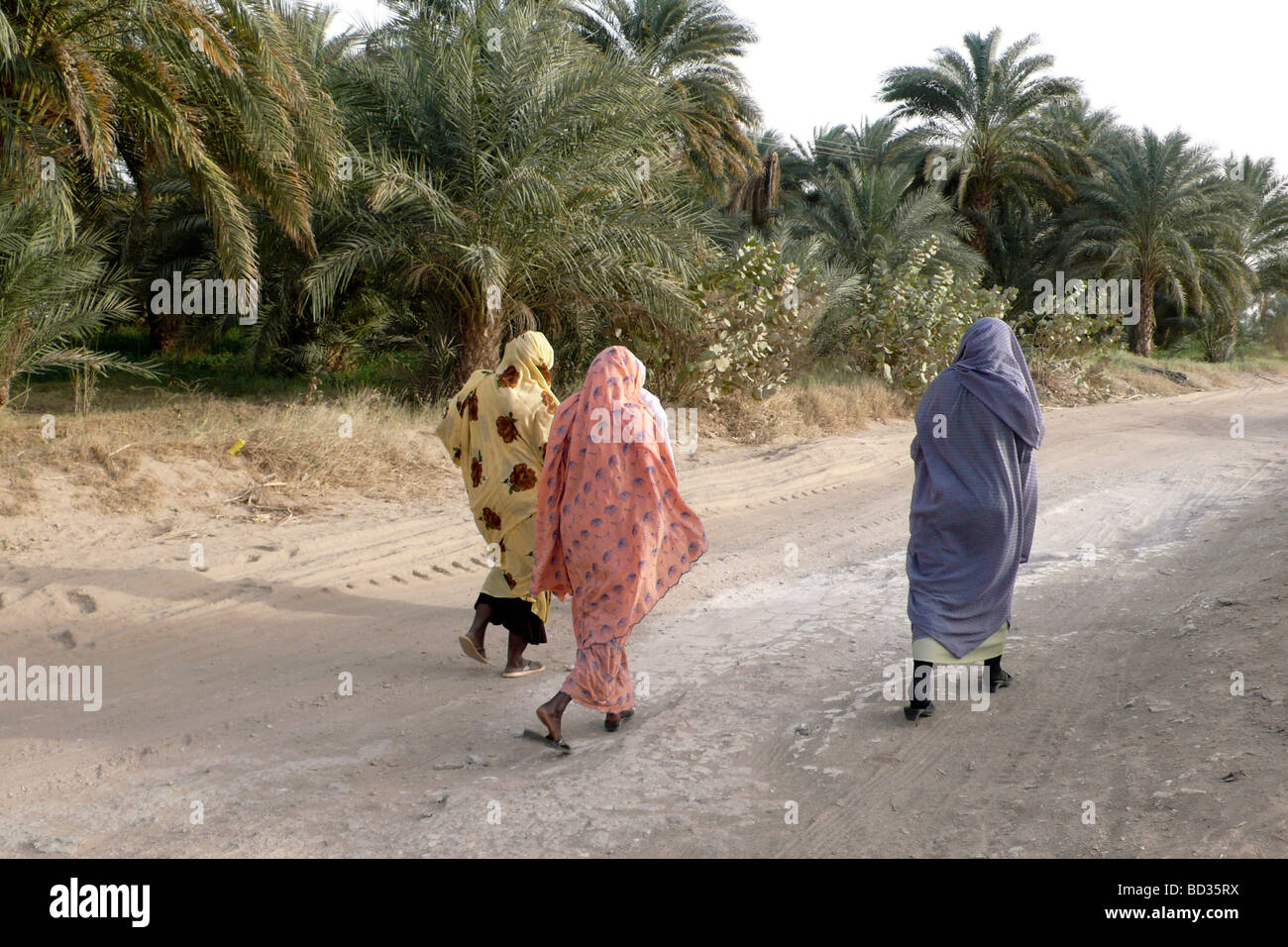 nubia sudan el kurru walking Stock Photo