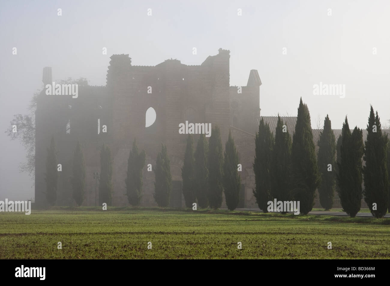 The abbey of San Galgano in Tuscany Italy in foggy morning Stock Photo