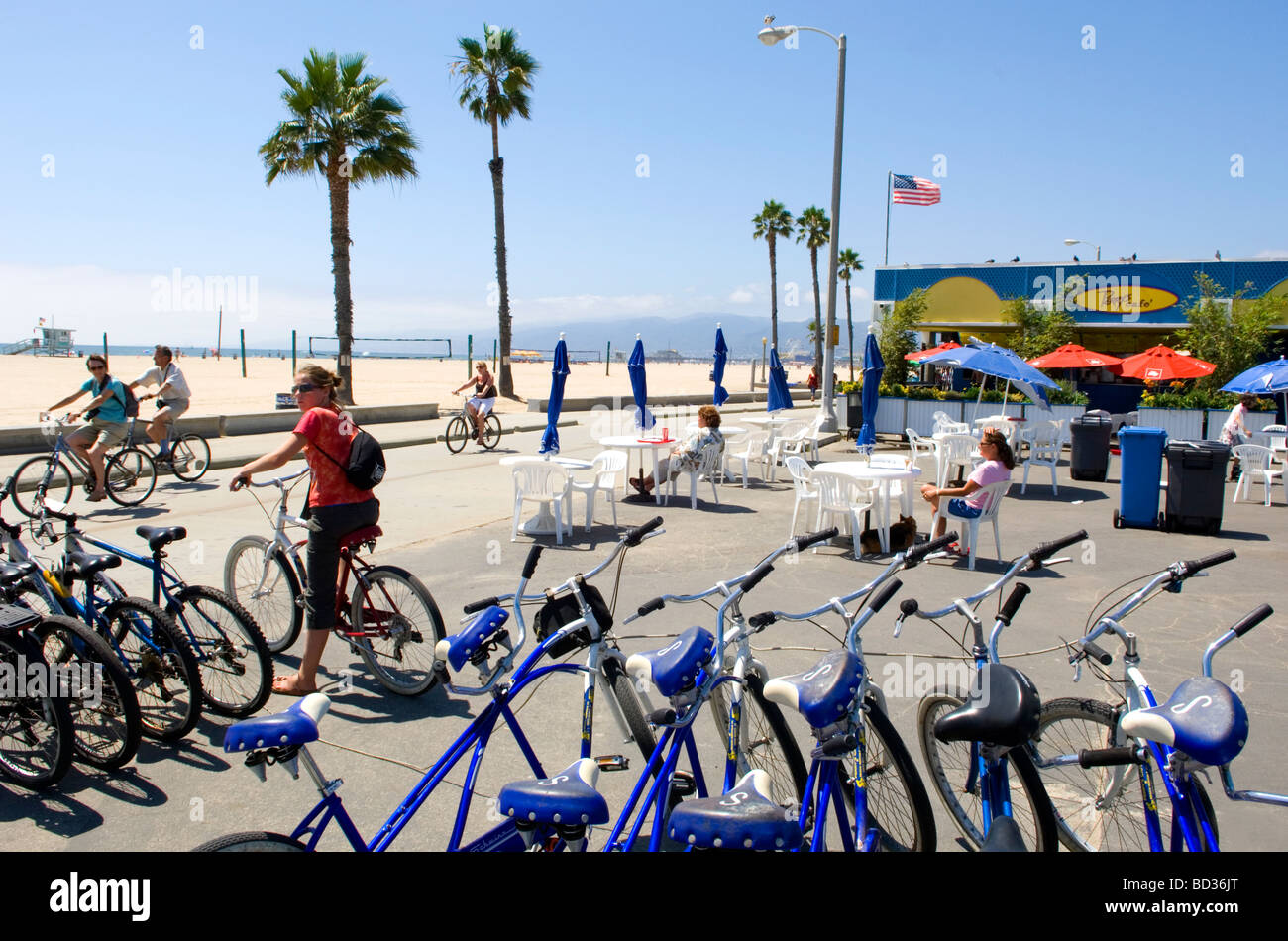 Bike Rentals at Beach Stock Photo Alamy