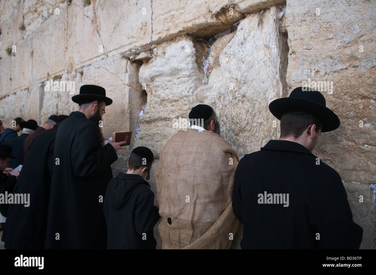 Haredi Jew wearing jute bag to signify grief prays on Tisha B'Av commemorating the destruction of the First and Second Temple in the Western Wall Stock Photo