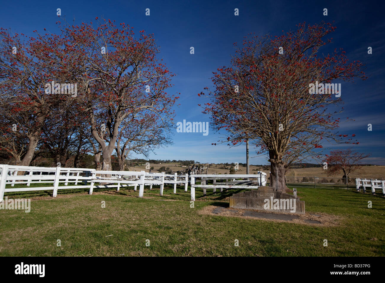 fencing blue sky Stock Photo Alamy
