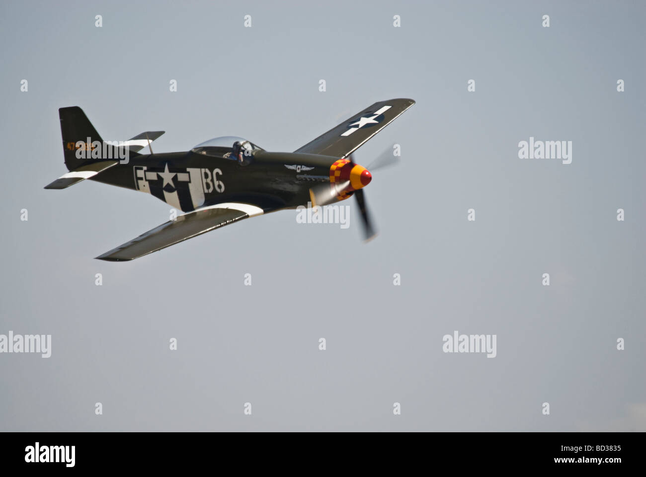 A P-51 Mustang flies at an airshow, this Mustang has invasion stripes painted on it. Stock Photo