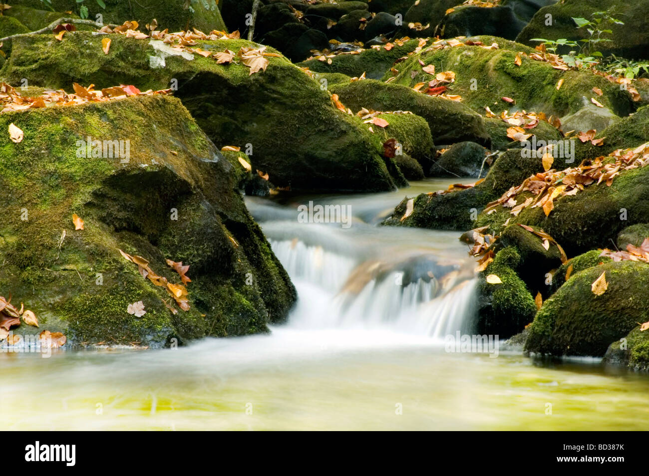 Beautiful Mountain Waterfall Stock Photo - Alamy