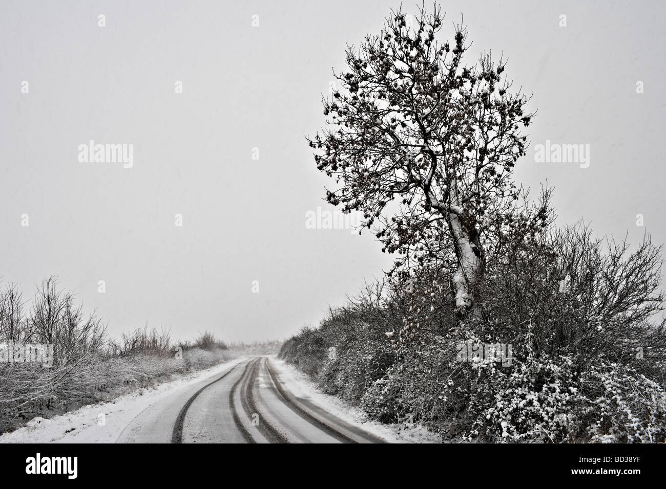 Winding road covered in snow Stock Photo