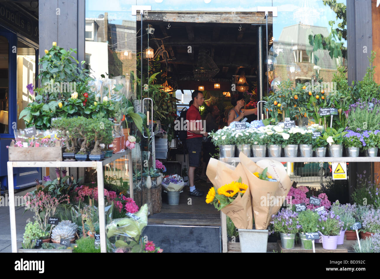 Flower shop on Upper Street Islington London Stock Photo Alamy